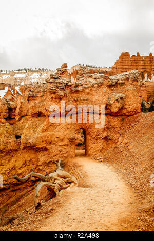 Porta su di un sentiero di Bryce Canyon National Park nello Utah Foto Stock