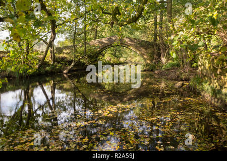 Willow Bridge - Packhorse Bridge, TPT Oxspring, nello Yorkshire, Regno Unito Foto Stock