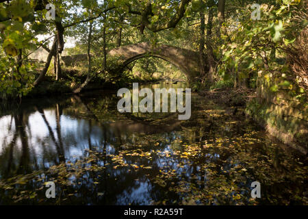 Willow Bridge - Packhorse Bridge, TPT Oxspring, nello Yorkshire, Regno Unito Foto Stock