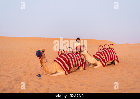 DUBAI, Emirati Arabi Uniti - 09 Novembre 2018: cammelli caravan con uomini arabi in attesa per i turisti in viaggio attraverso le dune di sabbia nel deserto di Dubai. Foto Stock