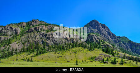 Bellissima vista panoramica soleggiata paesaggio estivo nelle montagne di Altai, Russia. Firs scarsamente cresce sui pendii delle montagne, rocce e grossi massi su gre Foto Stock