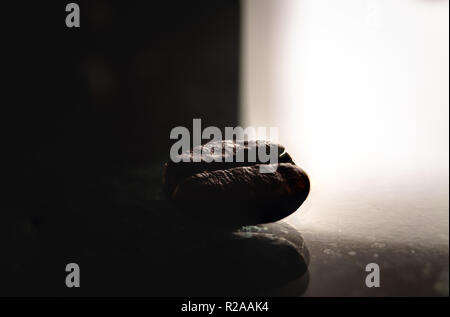 La fotografia macro di chicco di caffè Foto Stock