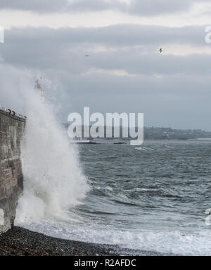 Newlyn, Cornwall, Regno Unito. Xviii Nov, 2018. Regno Unito Meteo. Venti freddi di oltre 45mph, diretto da Est stavano spingendo onde di oltre il muro del porto al Porto di Newlyn questa mattina, come temperature inizia a scendere dal recente alti. Credito: Simon Maycock/Alamy Live News Foto Stock