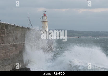 Newlyn, Cornwall, Regno Unito. Xviii Nov, 2018. Regno Unito Meteo. Venti freddi di oltre 45mph, diretto da Est stavano spingendo onde di oltre il muro del porto al Porto di Newlyn questa mattina, come temperature inizia a scendere dal recente alti. Credito: Simon Maycock/Alamy Live News Foto Stock