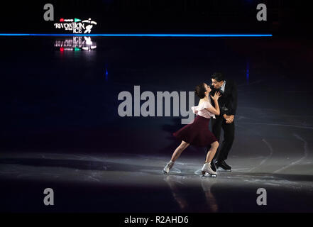 MALAGA, Spagna. 17 Nov, 2018. La figura skaters Anna Capellini e Luca Lanotte visto eseguire durante lo spettacolo.Rivoluzione su Ice Tour show è uno spettacolo di pattinaggio artistico su ghiaccio con un cast internazionale di campione del mondo pattinatori, capeggiata dal pattinatore spagnolo Javier FernÃ¡ndez. La mostra presenta anche musical e spettacoli di acrobazie. Credito: Gesù Merida/SOPA Immagini/ZUMA filo/Alamy Live News Foto Stock