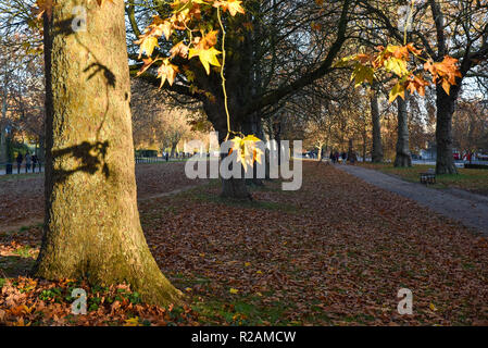 Hyde Park, London, Regno Unito. Il 18 novembre 2018. In autunno l'Hyde Park di Londra. Credito: Matteo Chattle/Alamy Live News Foto Stock