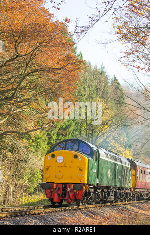 Bewdley, Regno Unito. 18 Novembre 2018. Tempo nel Regno Unito: I passeggeri della ferrovia sulla Severn Valley Railway (linea ferroviaria storica tra Kidderminster e Bridgnorth) godono di un glorioso sole d'autunno, mentre la loro locomotiva diesel d'epoca, 40106 Atlantic Conveyor, si avvicina qui passando attraverso la campagna rurale del Worcestershire autunno. Credit: Lee Hudson/Alamy Live News Foto Stock