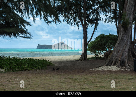 Isola dei Conigli vista da Waimanalo Beach, Oahu, Hawaii Foto Stock