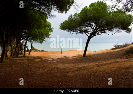 Spiaggia e insolite formazioni di roccia, Praia da Falesia, spiaggia di Falesia, Algarve, PORTOGALLO Foto Stock