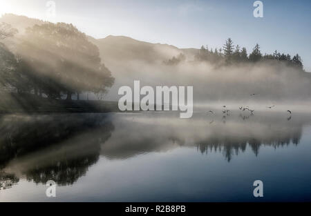 Autunno nebbiosa mattina a Derwentwater nel distretto del lago, Cumbria Inghilterra REGNO UNITO Foto Stock