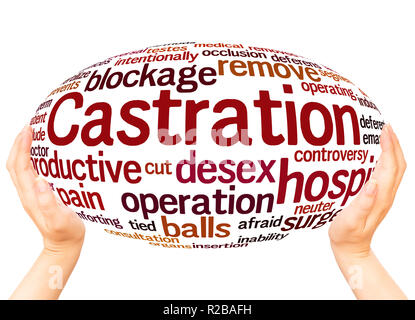 La castrazione word cloud sfera mano concetto su sfondo bianco. Foto Stock