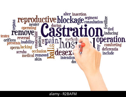 La castrazione word cloud la scrittura a mano concetto su sfondo bianco. Foto Stock