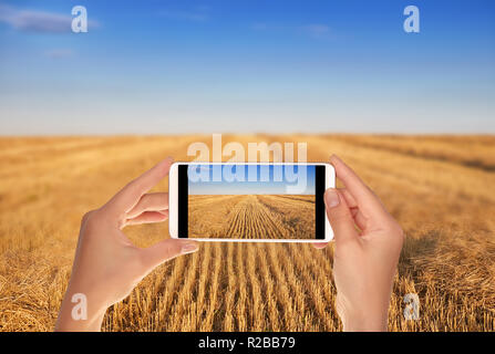 Un uomo è scattare una foto del campo di cereali dopo la mietitura su una chiara serata di sole su un telefono cellulare Foto Stock