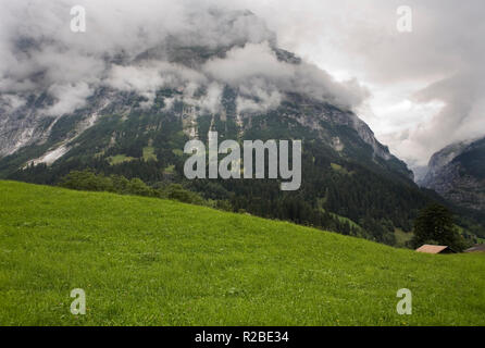 Il Mättenberg avvolto nella nube e la valle del Basso Ghiacciaio di Grindelwald (Unterer Grindelwaldgletscher), Oberland bernese, Svizzera Foto Stock