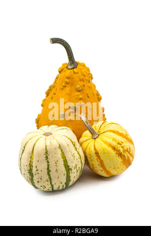 Tre assortiti coloquintidi ornamentali o simbolici di zucca della stagione autunnale e di ringraziamento su uno sfondo bianco con copia spazio. Foto Stock