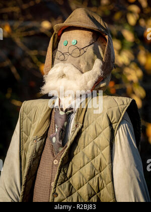 Scarecrow based on old man with beard, round glasses and hat like Mr McGreggor Foto Stock