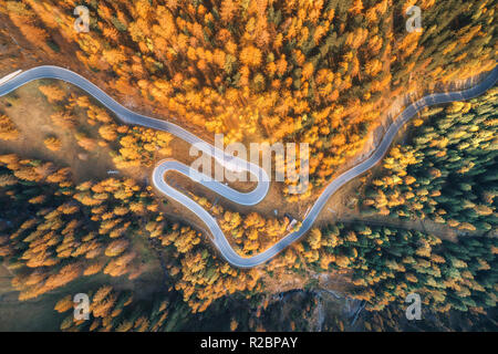 Vista aerea della strada tortuosa in autunno foresta al tramonto in montagna. Vista superiore della perfetta asfalto stradale e alberi di arancio. Autostrada attraverso il woo Foto Stock