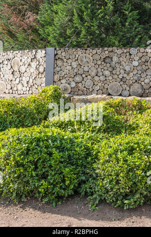 Tagliare tronco di albero e il ramo muro costituito da registri orizzontali Creazione di un aspetto di un certo numero di differenti dimensioni cerchi congiunti insieme per creare questo barrie Foto Stock