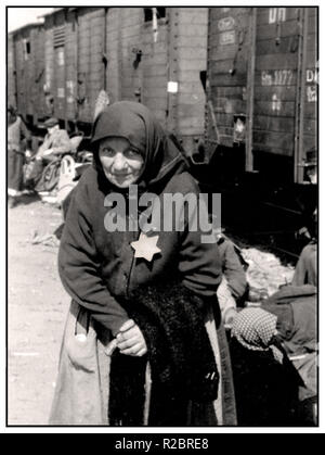 Auschwitz-Birkenau, anziana donna ebraica ungherese, precedentemente internata nel Tét o nel Berehovo Ghetto, arriva ad Auschwitz II, nota anche come Auschwitz-Birkenau con un'automobile di bestiame insanitaria. Indossa la stella gialla designata nazista obbligatoria. La sua espressione inquietante alla telecamera è un tragico ricordo duraturo della storia dell’imminente destino indicibile per lei e per molti milioni come lei, il cui unico ‘crimine’ è stato quello di essere ebreo .... Auschwitz-Birkenau Polonia Foto Stock