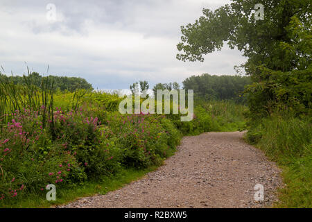 Un percorso per motivi di Ethan Allen Homestead, Burlington, Vermont, Stati Uniti Foto Stock