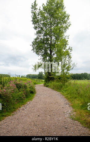 Un percorso per motivi di Ethan Allen Homestead, Burlington, Vermont, Stati Uniti Foto Stock