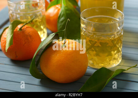 Siciliano di liquore di mandarino con frutti intorno - primo piano Foto Stock