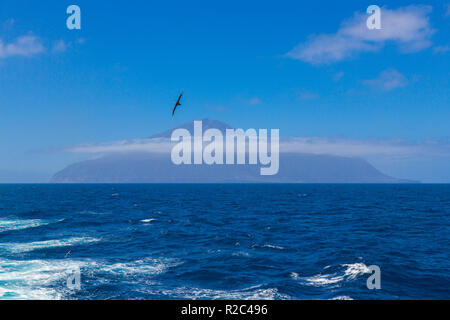 Tristan da Cunha, l'isola più lontana, Sud Atlantico - British Overseas territorio. Vulcano coperto di nuvole e seagull sul primo piano. Foto Stock