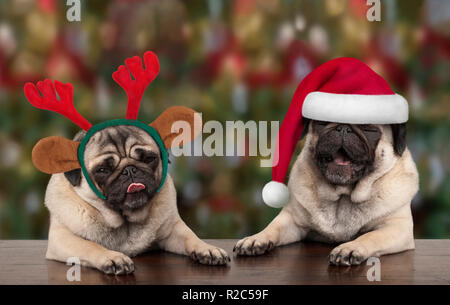 Divertenti Natale cute pug cucciolo cani appoggiato sulla tavola di legno, indossando il berretto di Babbo Natale e renne palchi, con sfondo stagionali Foto Stock