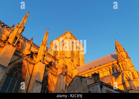 Il tetto della cattedrale di York Minster nel North Yorkshire emette un bagliore dorato durante il tramonto. Foto Stock