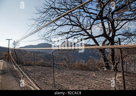 Abbattuto le linee di alimentazione lungo Mulholland Highway. La Woolsey wildfire iniziato il 8 novembre 2018 e ha bruciato oltre 98.000 acri di terreno, distrutto una stima di 1.100 strutture e ha ucciso 3 persone a Los Angeles e Ventura Le contee e le specie colpite duramente area di Malibu. In California, Stati Uniti d'America Foto Stock