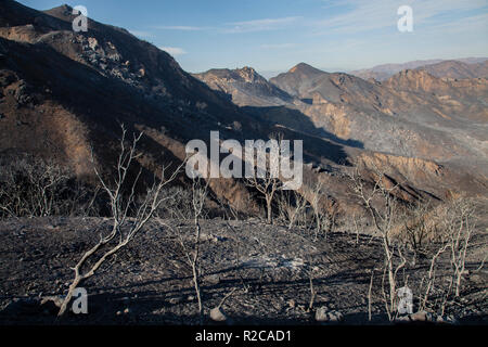 Wildfire danni lungo Mulholland Highway. La Woolsey wildfire iniziato il 8 novembre 2018 e ha bruciato oltre 98.000 acri di terreno, distrutto una stima di 1.100 strutture e ha ucciso 3 persone a Los Angeles e Ventura Le contee e le specie colpite duramente area di Malibu. In California, Stati Uniti d'America Foto Stock