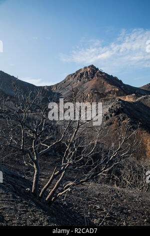 Wildfire danni lungo Mulholland Highway. La Woolsey wildfire iniziato il 8 novembre 2018 e ha bruciato oltre 98.000 acri di terreno, distrutto una stima di 1.100 strutture e ha ucciso 3 persone a Los Angeles e Ventura Le contee e le specie colpite duramente area di Malibu. In California, Stati Uniti d'America Foto Stock