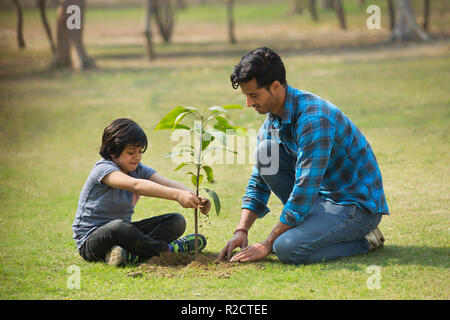 Felice padre e figlio di piantare un piccolo stabilimento in giardino e mettendo il terreno intorno ad esso. Foto Stock