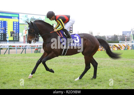 Kyoto, Giappone. Xviii Nov, 2018. Al Ain (Yuga Kawada) Horse Racing : Al Ain cavalcato da Yuga Kawada prima il miglio campionato a Kyoto Racecourse a Kyoto, in Giappone . Credito: Eiichi Yamane/AFLO/Alamy Live News Foto Stock