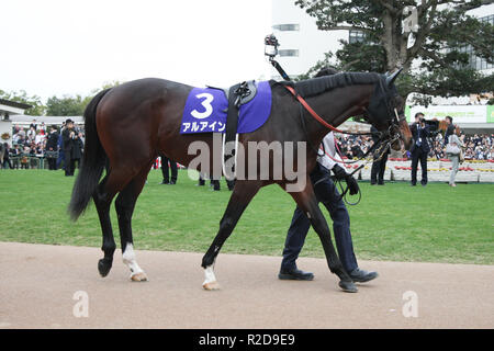 Kyoto, Giappone. Xviii Nov, 2018. Al Ain Horse Racing : Al Ain è guidato attraverso il paddock prima il miglio campionato a Kyoto Racecourse a Kyoto, in Giappone . Credito: Eiichi Yamane/AFLO/Alamy Live News Foto Stock