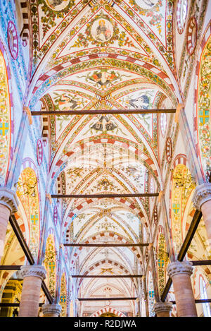 Sul soffitto della navata. Sant'Anastasia, la più grande chiesa in Verona, iniziato nel 1290, i progetti di due frati Domenicani fra Benvenuto da Bologna e fra Foto Stock