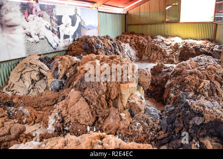 Arequipa, Perù - Ottobre 7, 2018: pali di materie lana di alpaca in attesa di elaborazione per l'impiego nell'industria tessile Foto Stock