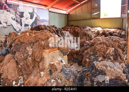 Arequipa, Perù - Ottobre 7, 2018: pali di materie lana di alpaca in attesa di elaborazione per l'impiego nell'industria tessile Foto Stock