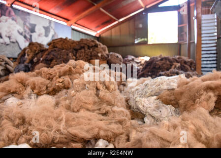 Arequipa, Perù - Ottobre 7, 2018: pali di materie lana di alpaca in attesa di elaborazione per l'impiego nell'industria tessile Foto Stock