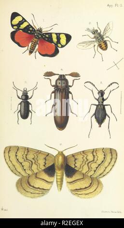 Pagina 475 di 'Matabele terreni e il Victoria Falls. Un naturalista di peregrinazioni all'interno del Sud Africa. Dalle lettere e diari di tardo Frank Oates F.R.G.S. A cura di C. G. Oates. (Memoir.)" da Th0078. Foto Stock