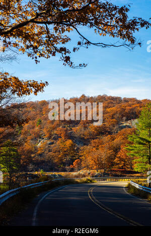 Strada curva in Harriman State Park durante la stagione autunnale Foto Stock