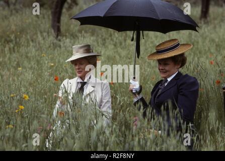Una camera con una vista Anno : 1985 Direttore del Regno Unito : James Ivory Maggie Smith, Judi Dench Foto Stock