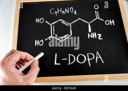 Formula chimica e nomenclatura di L-DOPA scritta a mano con un gessetto su una lavagna, immagine concettuale Foto Stock