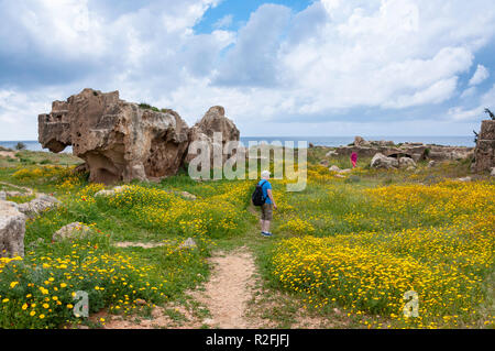 Fiori di Primavera nelle tombe dei re, le tombe dei re Avenue, Paphos (Paphos), Pafos District, la Repubblica di Cipro Foto Stock