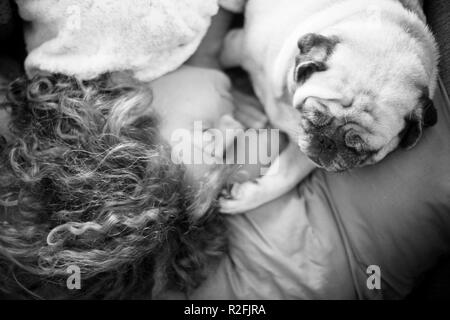 I concetti di amicizia per 40s donna che dorme con il suo migliore amico pug cane a casa. Entrambi sul cuscino e marrone e i toni caldi. Sognare insieme. romantico nero bianco annuncio Concetto di immagine Foto Stock