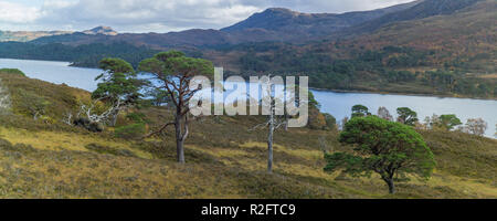 Loch Affric, Glen Affric, altopiani, Scozia. Foto Stock