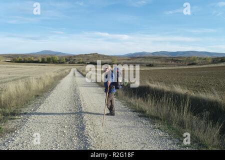 Il modo in cui l'Anno : 2010 USA / Spagna Direttore : Emilio Estevez Martin Sheen Foto Stock