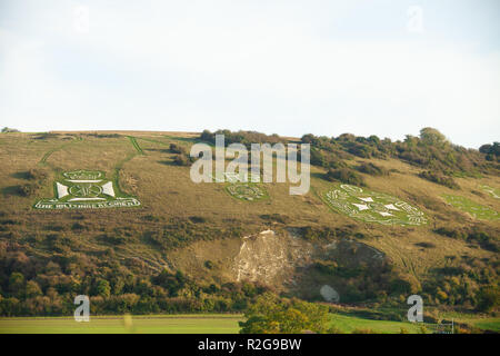 Fovant badge Regimental tagliato in Chalk hillside Fovant Wiltshire, Inghilterra. Foto Stock