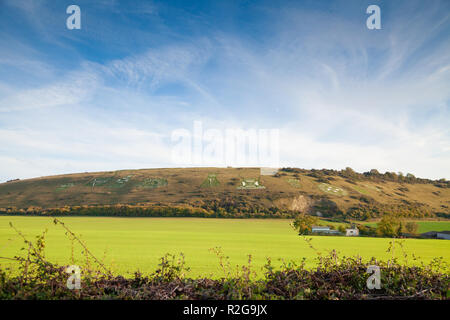 Fovant badge Regimental tagliato in Chalk hillside Fovant Wiltshire, Inghilterra. Foto Stock