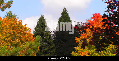 Estate indiana nella nostra casa 2 Foto Stock